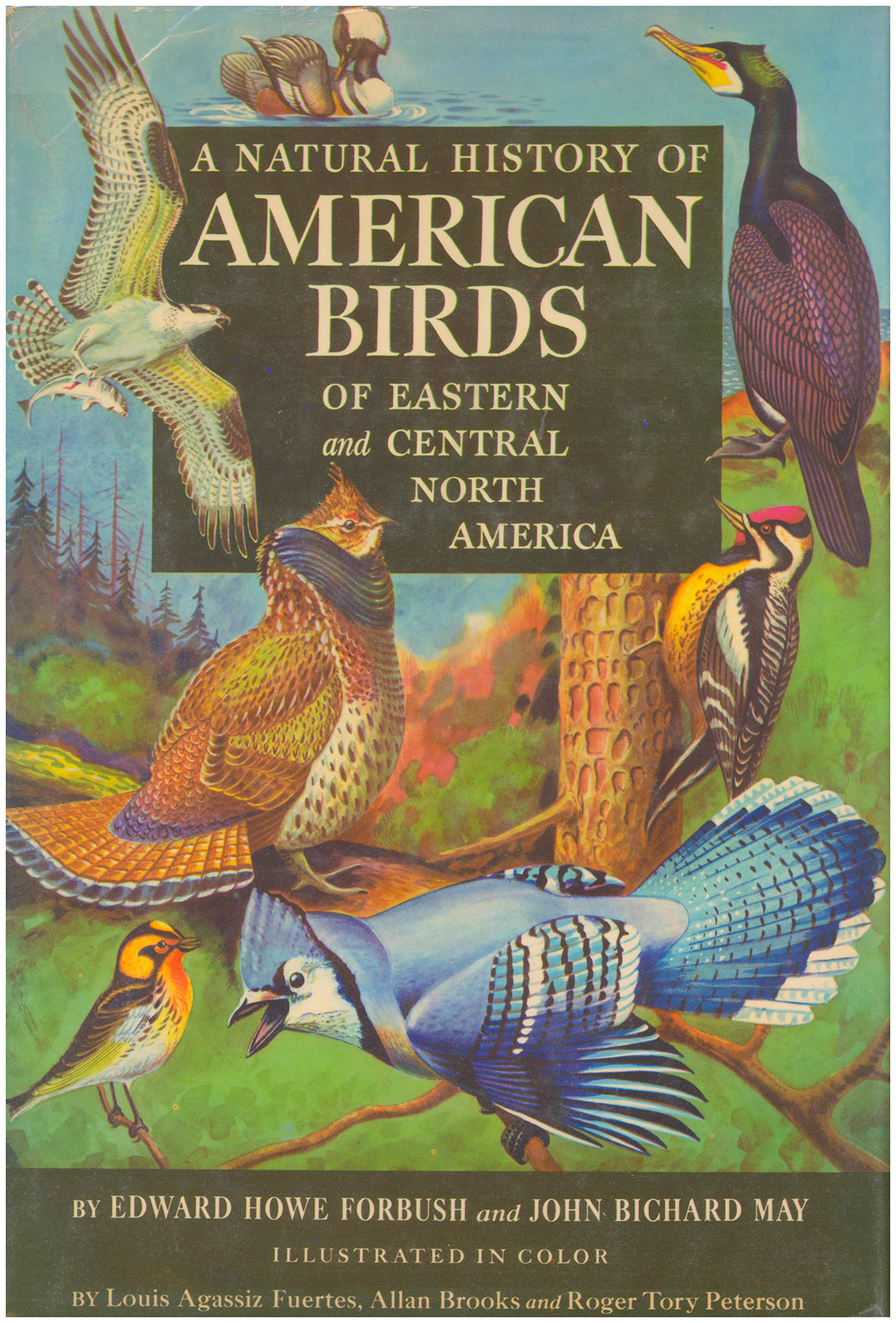A Natural History of American Birds of Eastern and Central North America