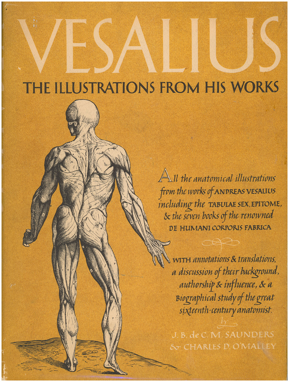The Illustrations from the Works of Andreas Vesalius of Brussels