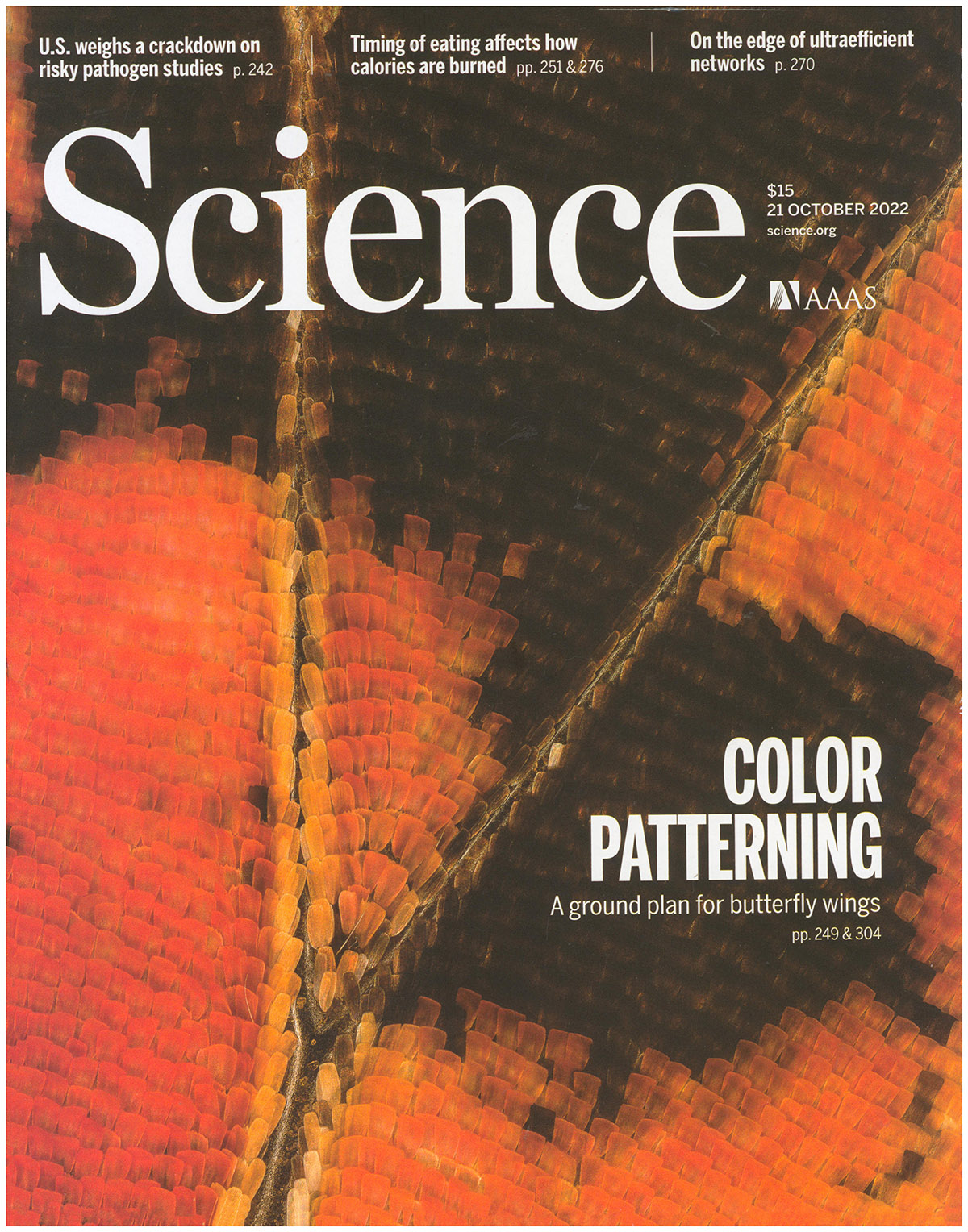 Science Magazine: CIS Regulatory Evolution (21 October 2022)