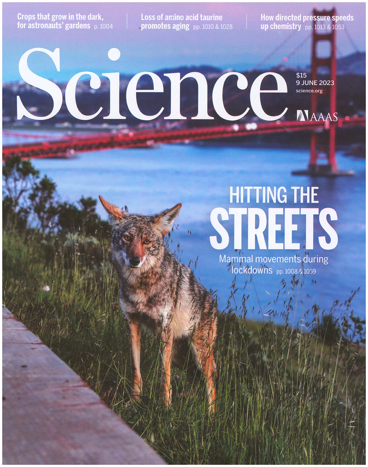 Science Magazine: Mammal Movements During the Lockdowns (9 June 2023)