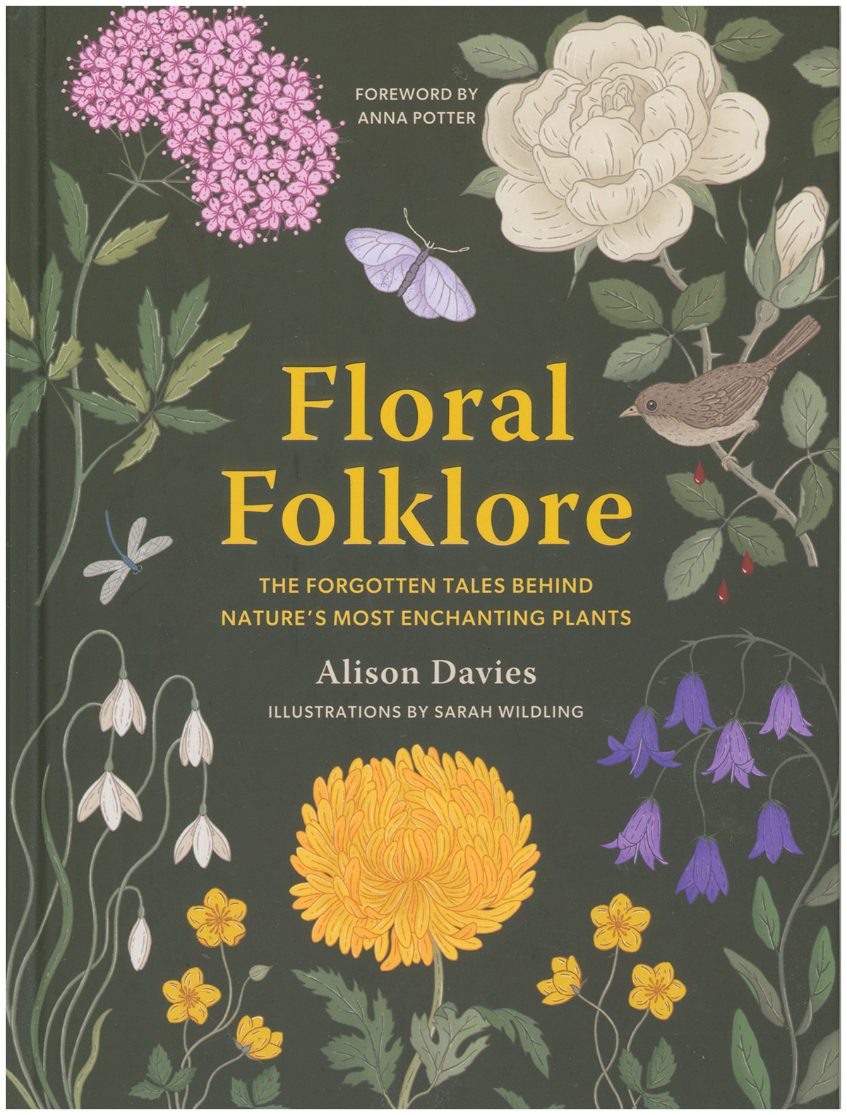 Floral Folklore: The Forgotten Tales Behind Nature's Most Enchanting Plants
