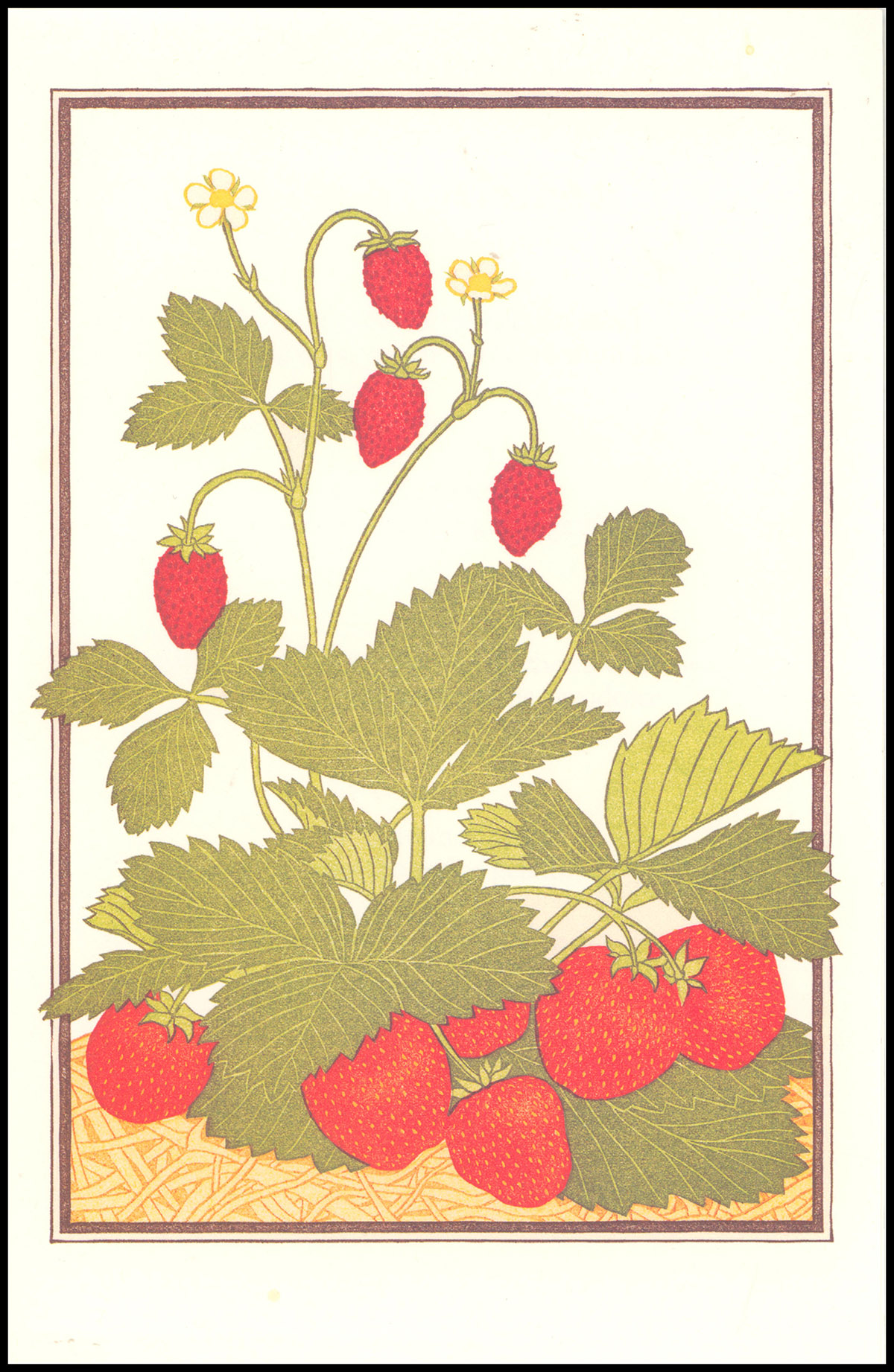 Menu: Chez Panisse (Wednesday, May 2, 2012)