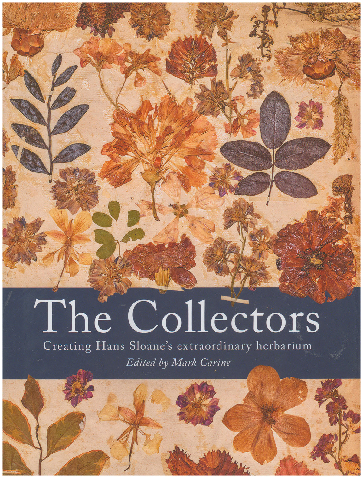 The Collectors: Creating Hans Sloane's Extraordinary Herbarium