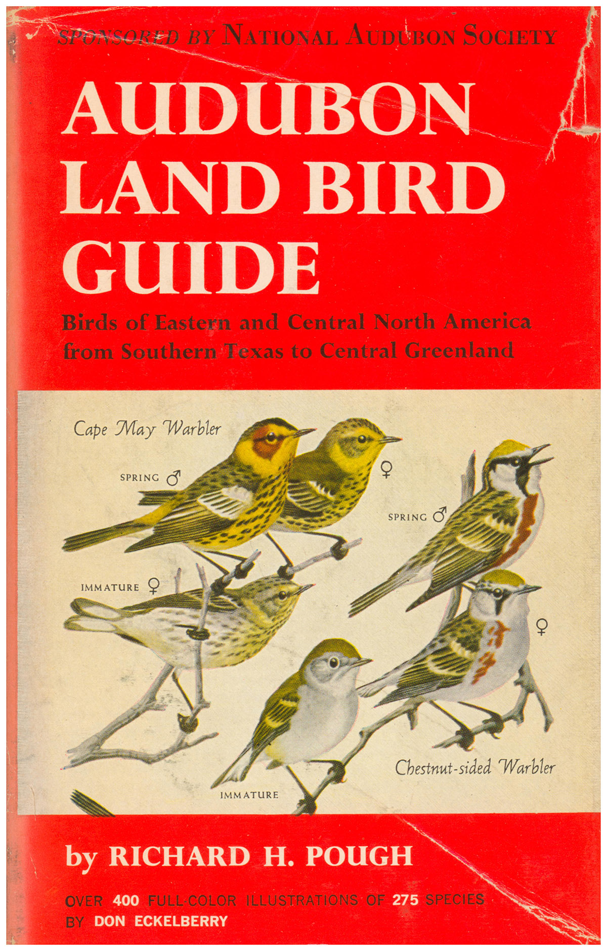 Audubon Land Bird Guide: Small Land Birds of Eastern & Central North America from Southern Texas to Central Greenland