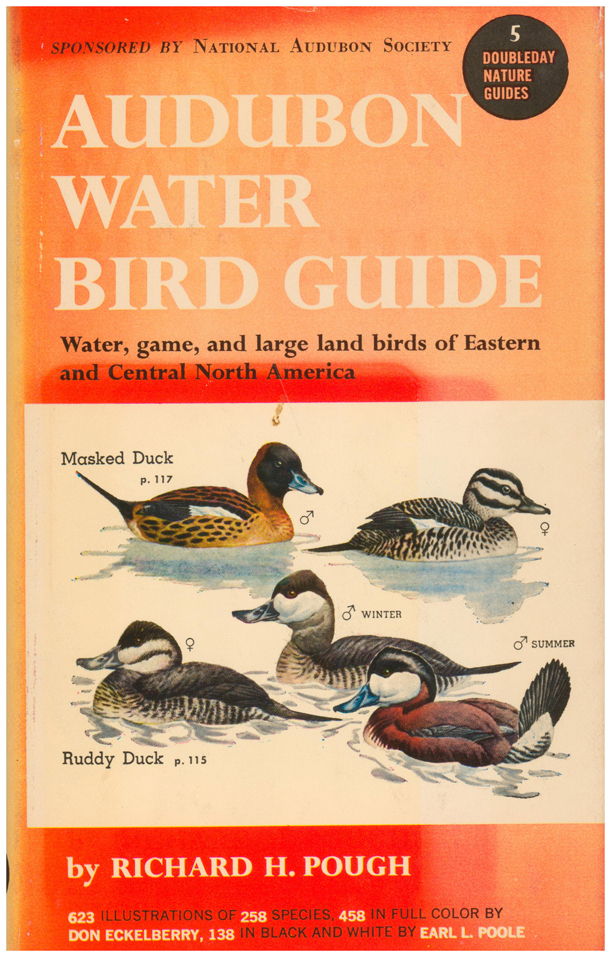 Audubon Water Bird Guide Eastern and Central North America From Southern Texas To Central Greenland