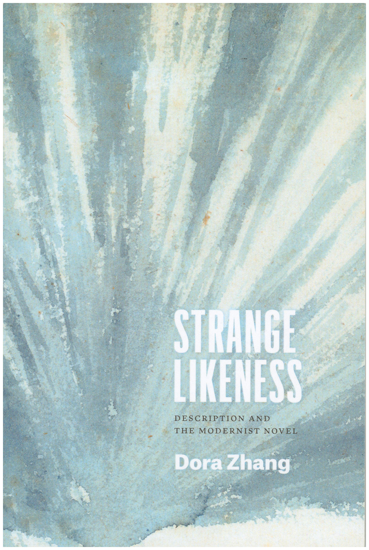 Strange Likeness: Description and the Modernist Novel (Thinking Literature)