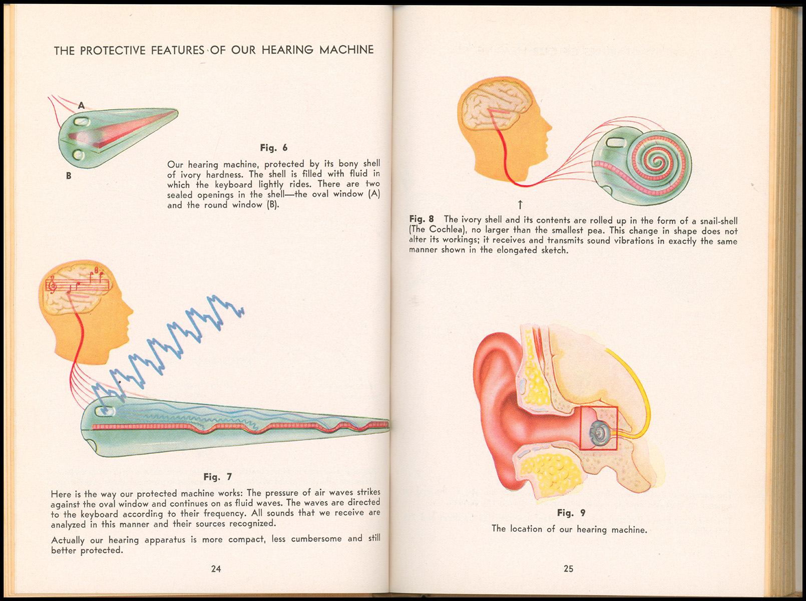 The New Way to Better Hearing Through Hearing Reeducation