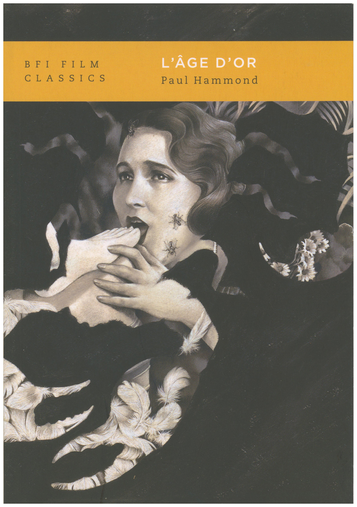 L'Age d'Or (BFI Film Classics)