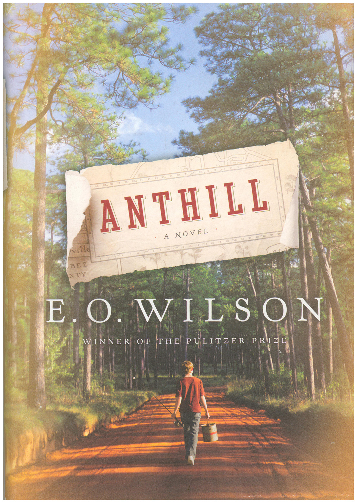 Anthill: A Novel
