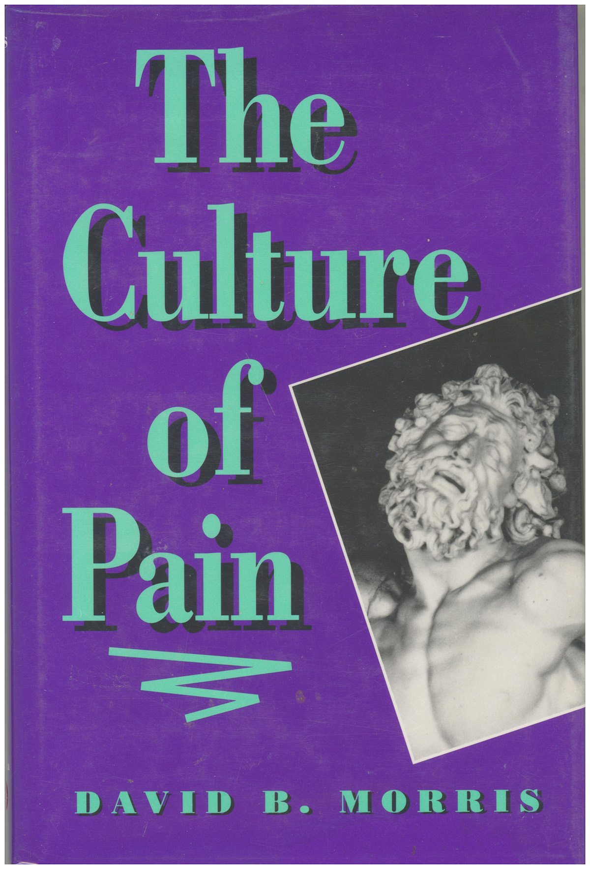 The Culture of Pain