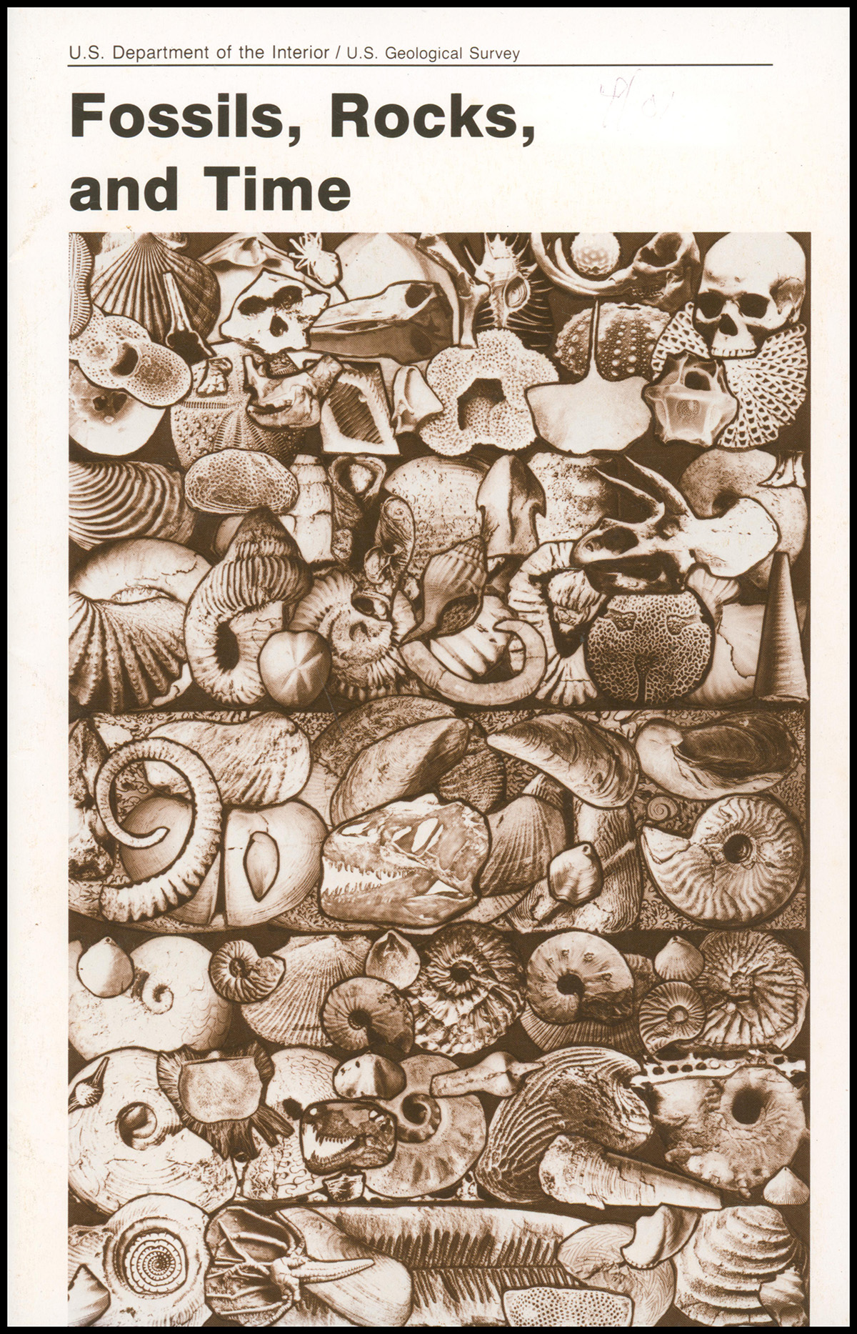 Fossils, Rocks and Time