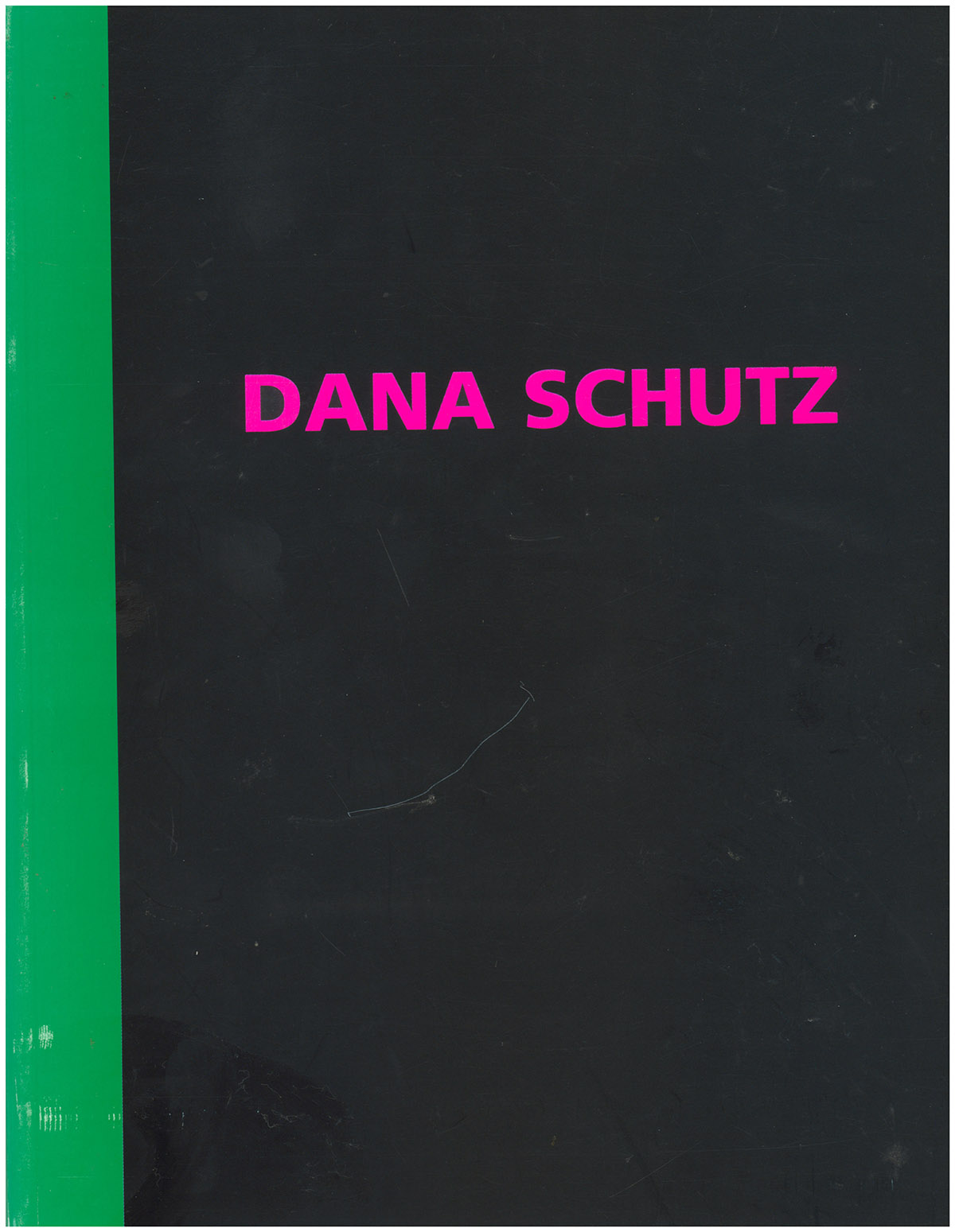 Dana Schutz