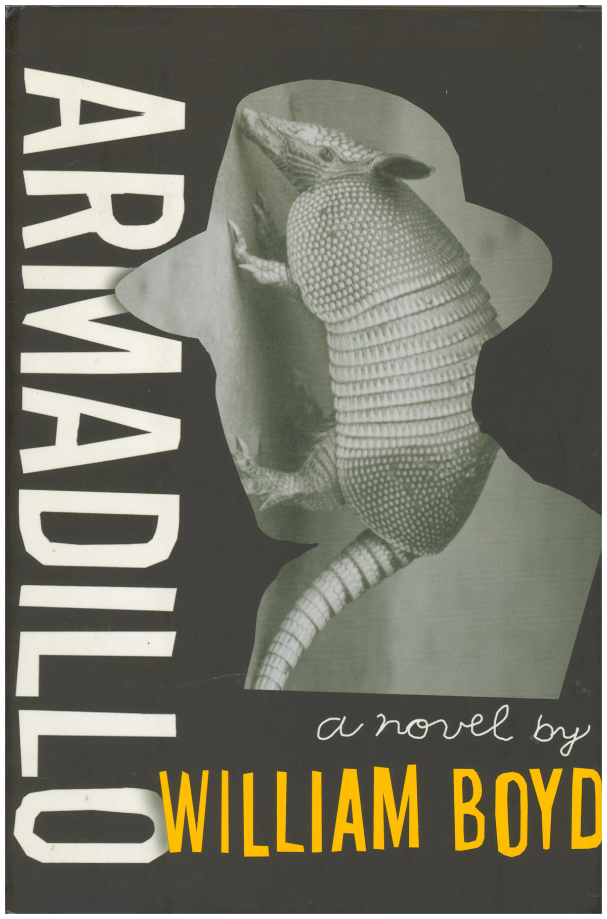 Image for Armadillo Armadillo