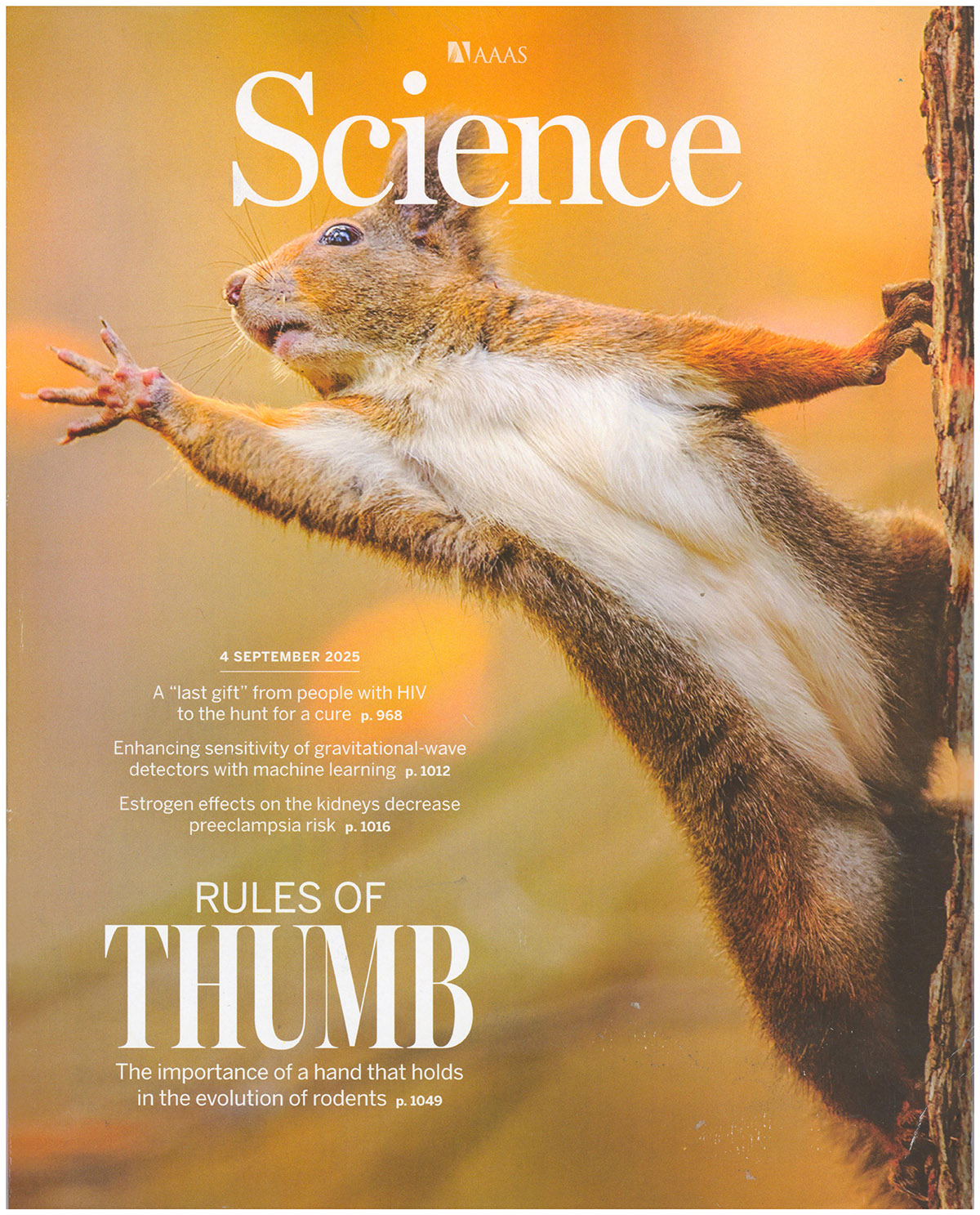Science Magazine: Rodent Evolution (4 September 2025)