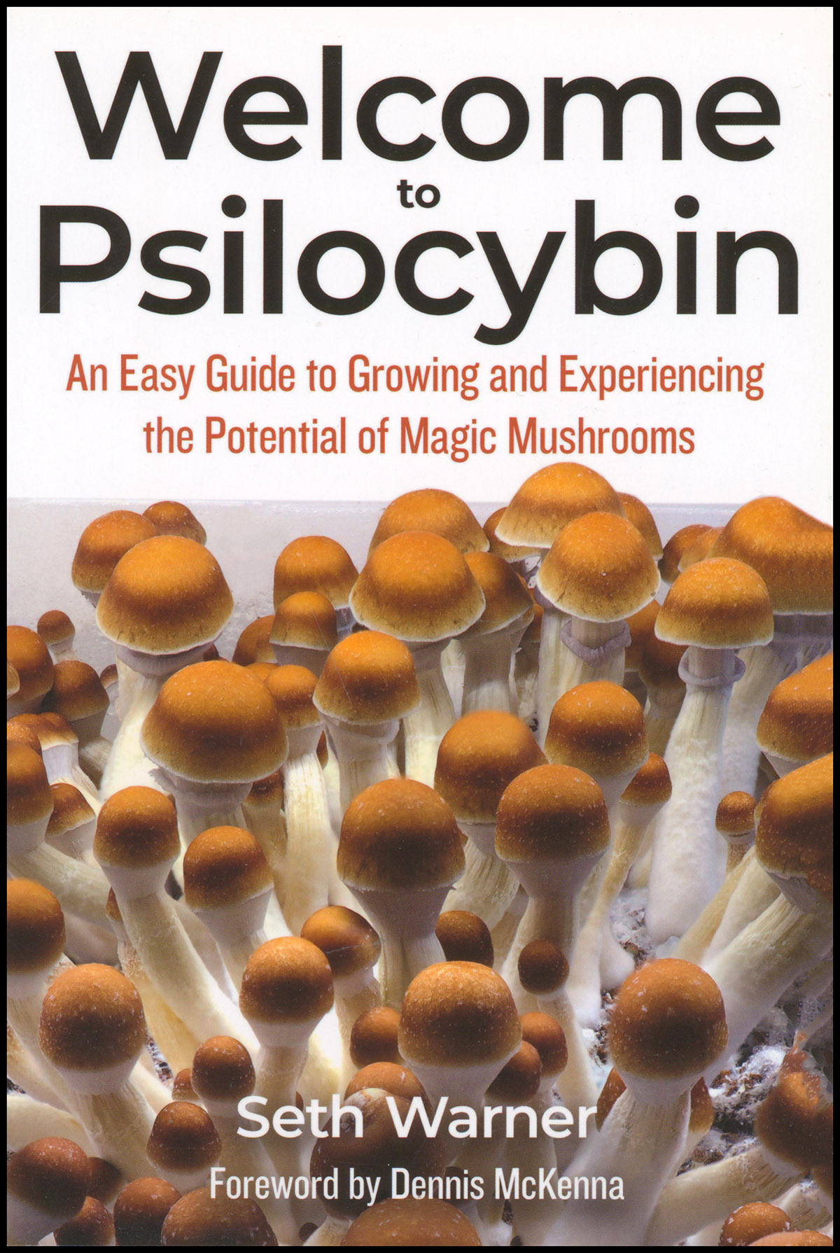 Welcome to Psilocybin: An Easy Guide to Growing and Experiencing the Potential of Magic Mushrooms