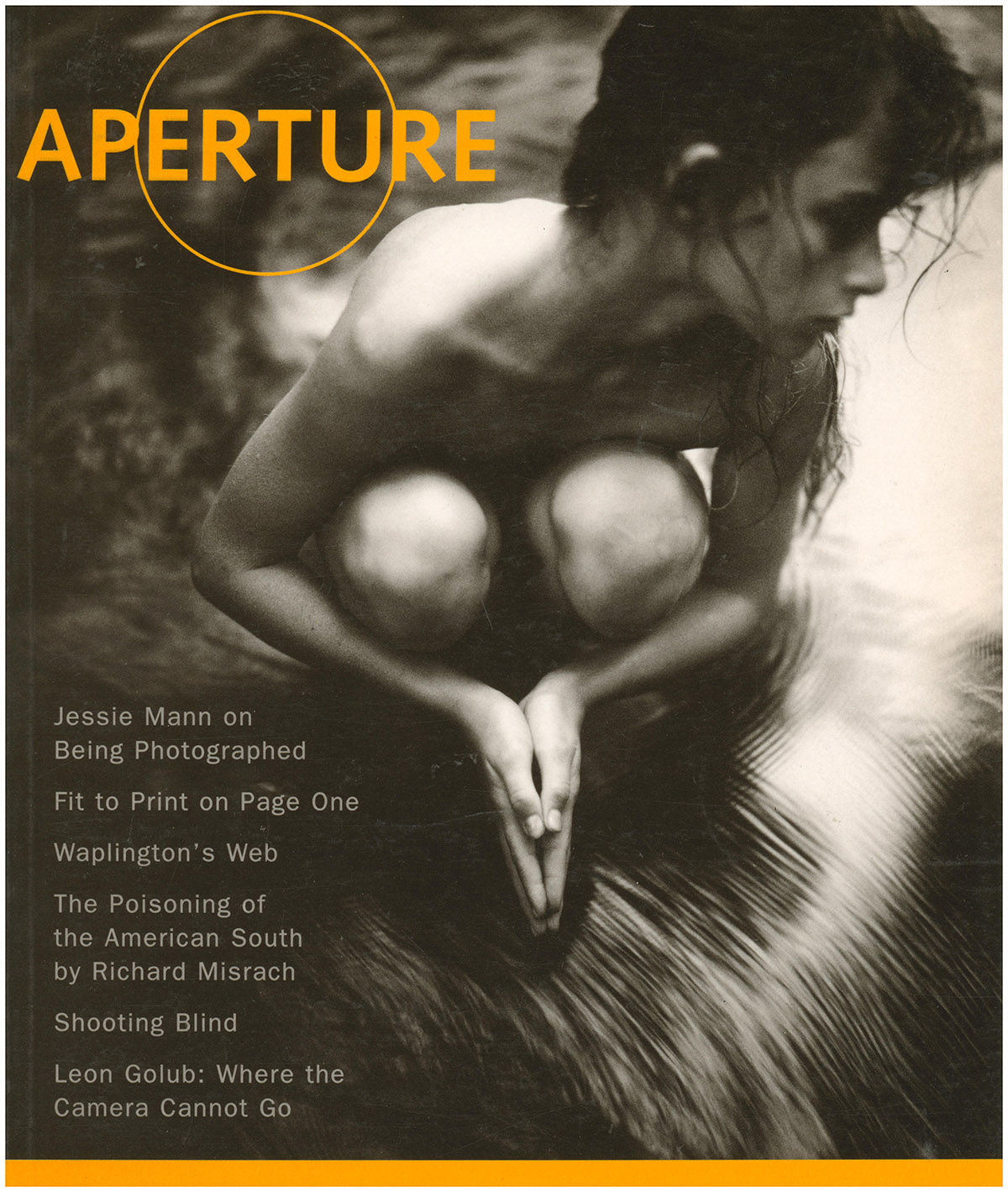 Aperture 162 (Winter 2001)
