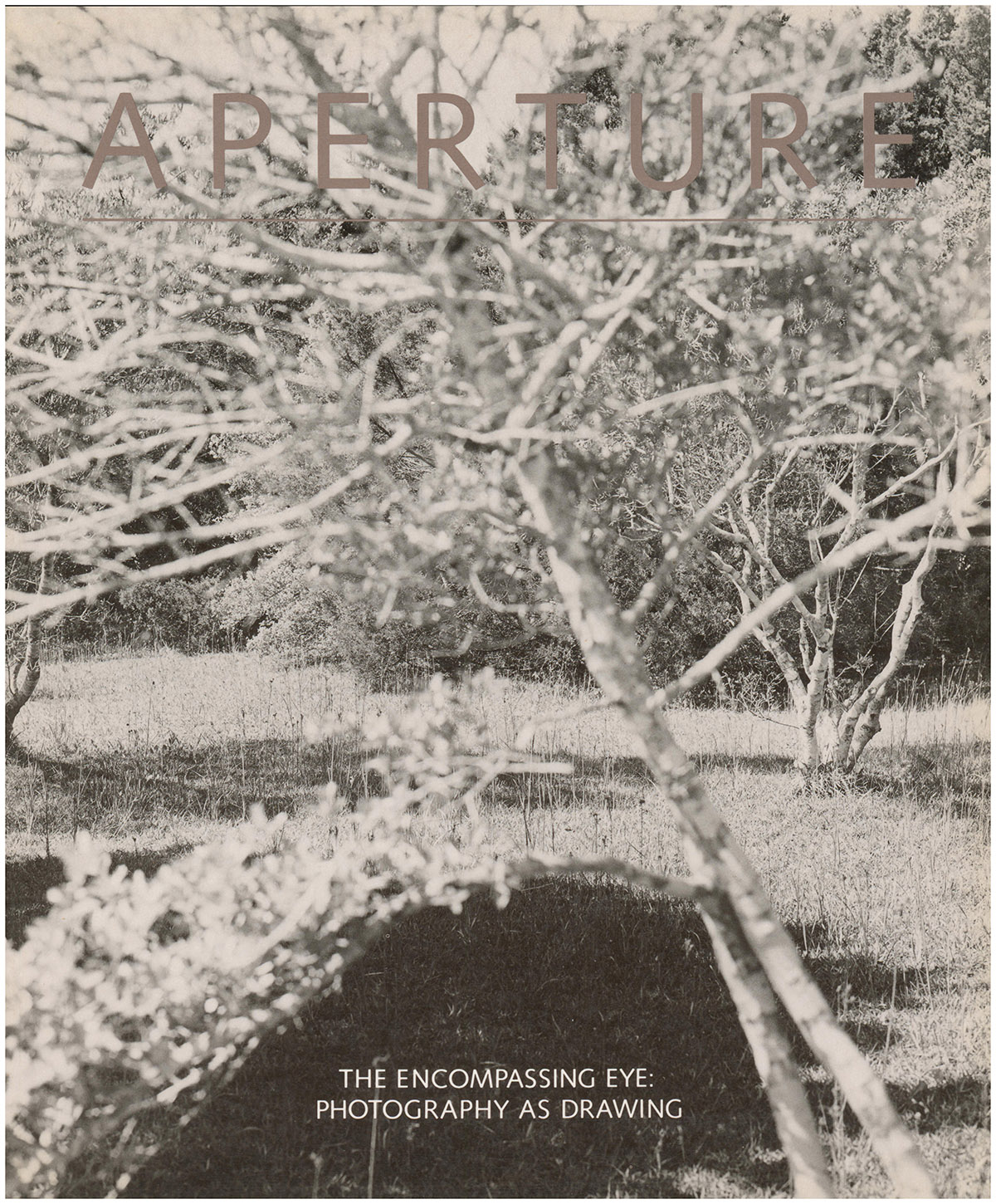 Aperture 125: The Encompassing Eye: Photgraphy As Drawing