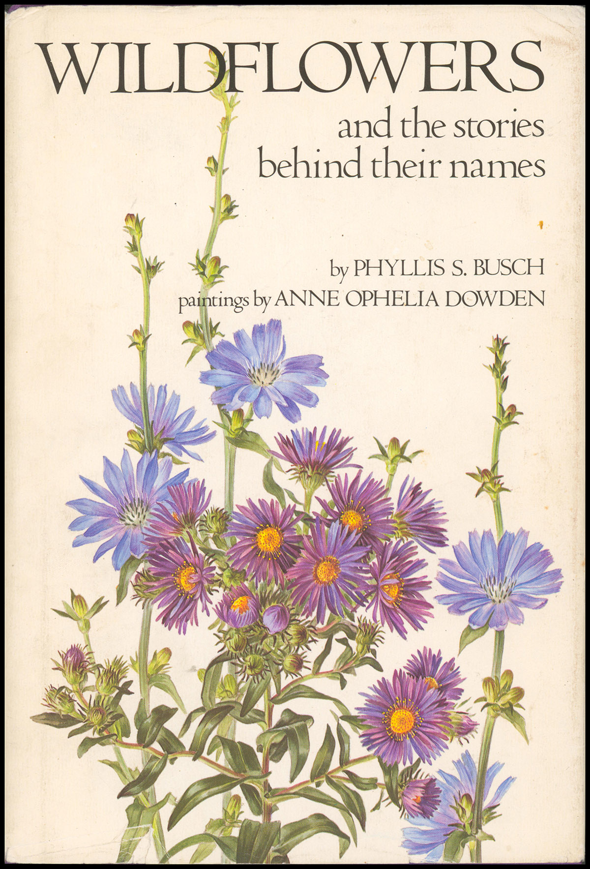 Wildflowers and the Stories Behind Their Names