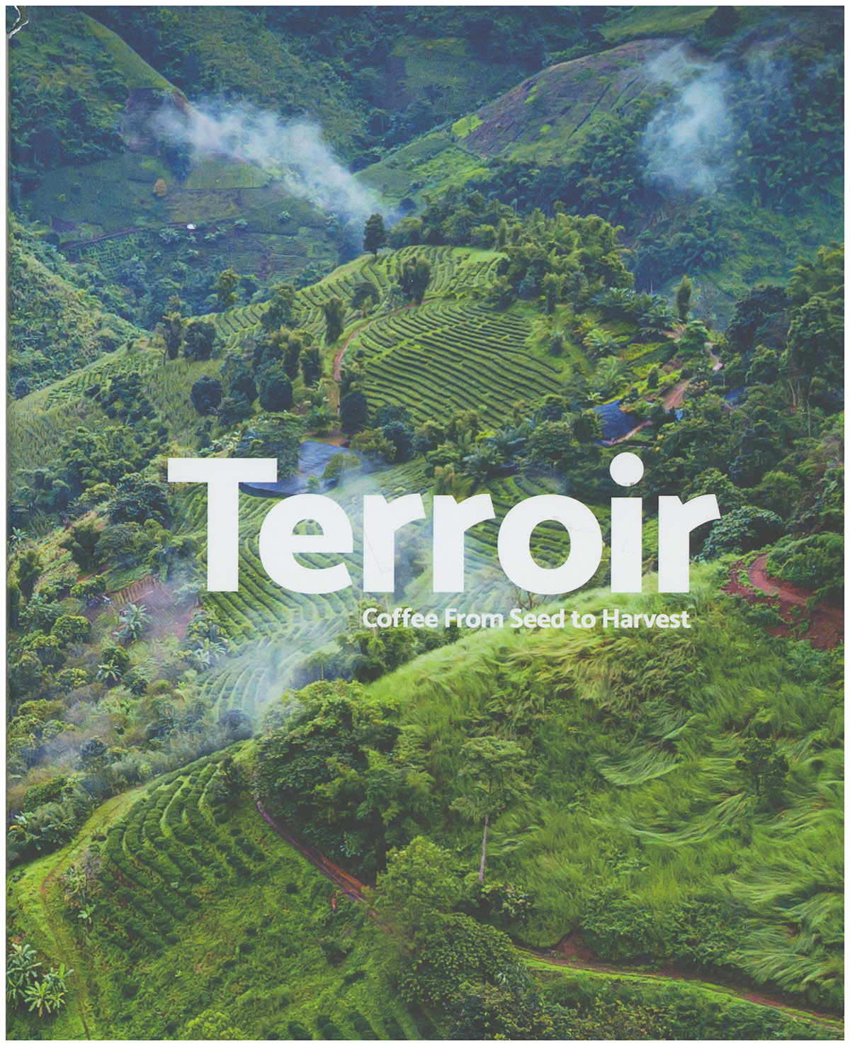 Terroir: Coffee From Seed to Harvest