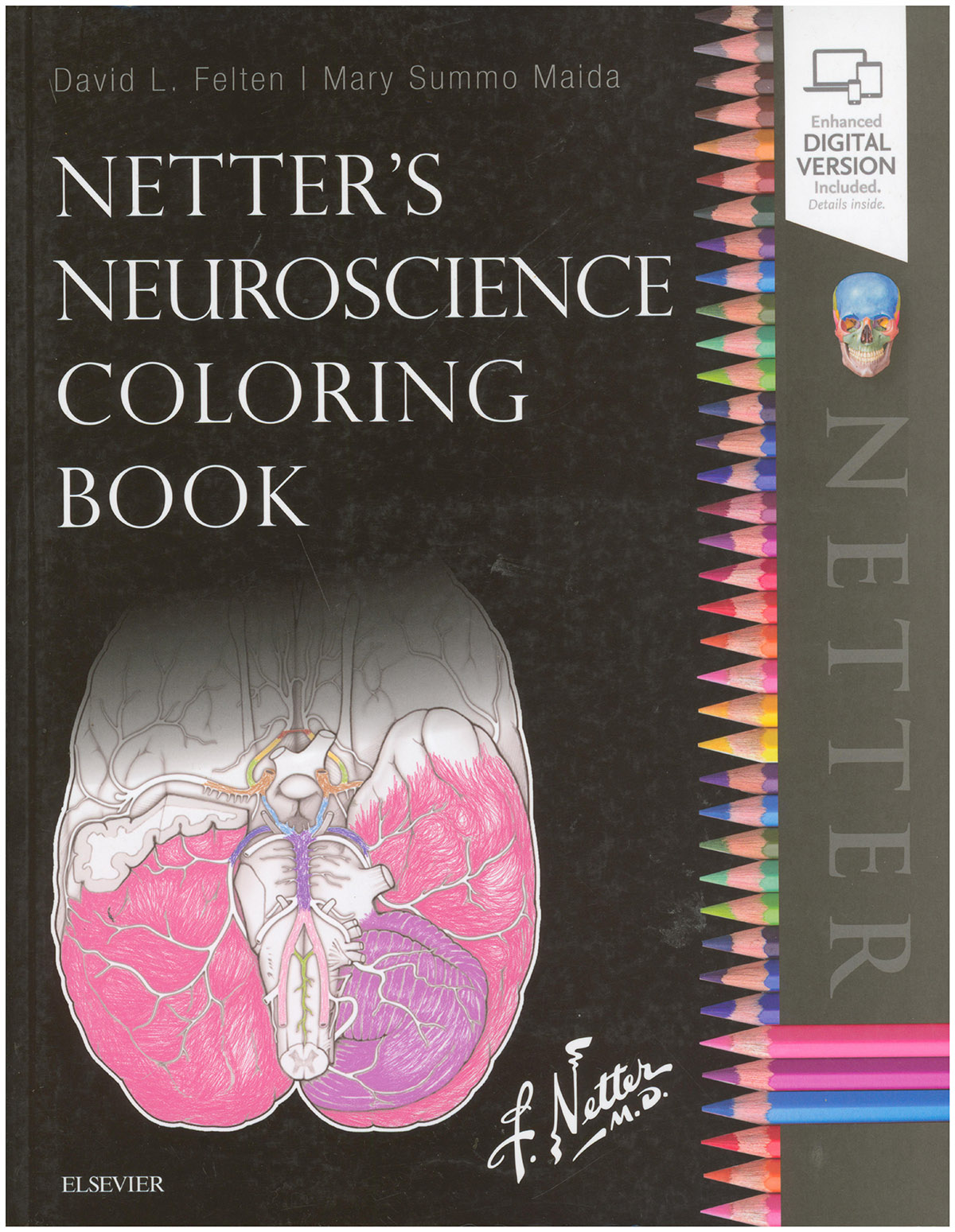 Netter's Neuroscience Coloring Book