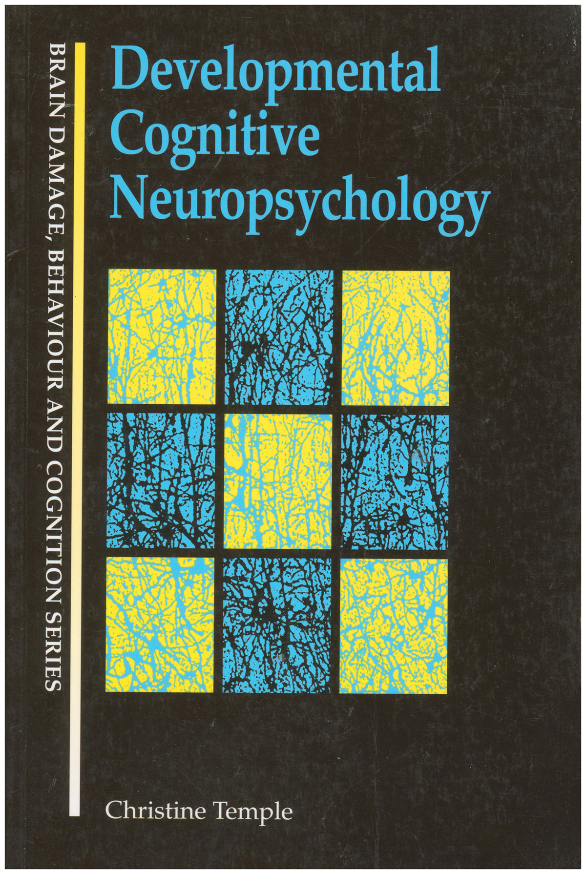 Developmental Cognitive Neuropsychology (Brain, Behaviour and Cognition)