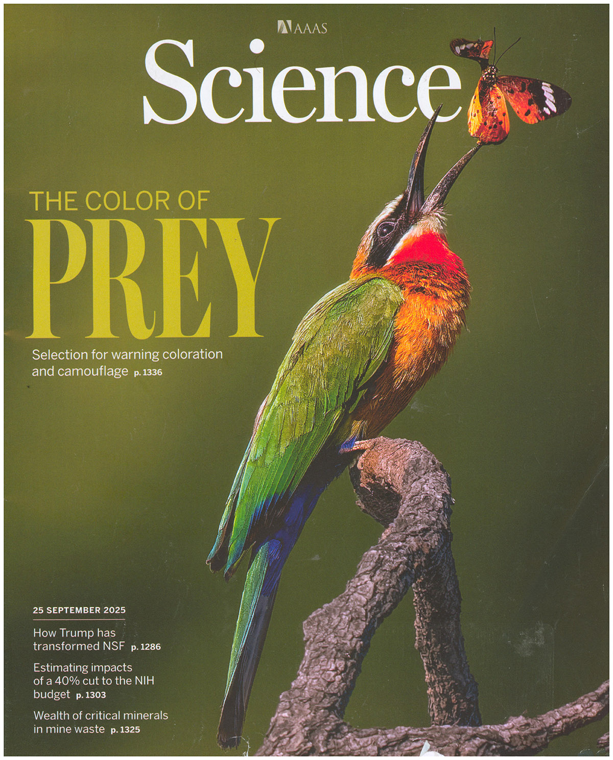 Science Magazine: The Color of Prey (25 September 2025)