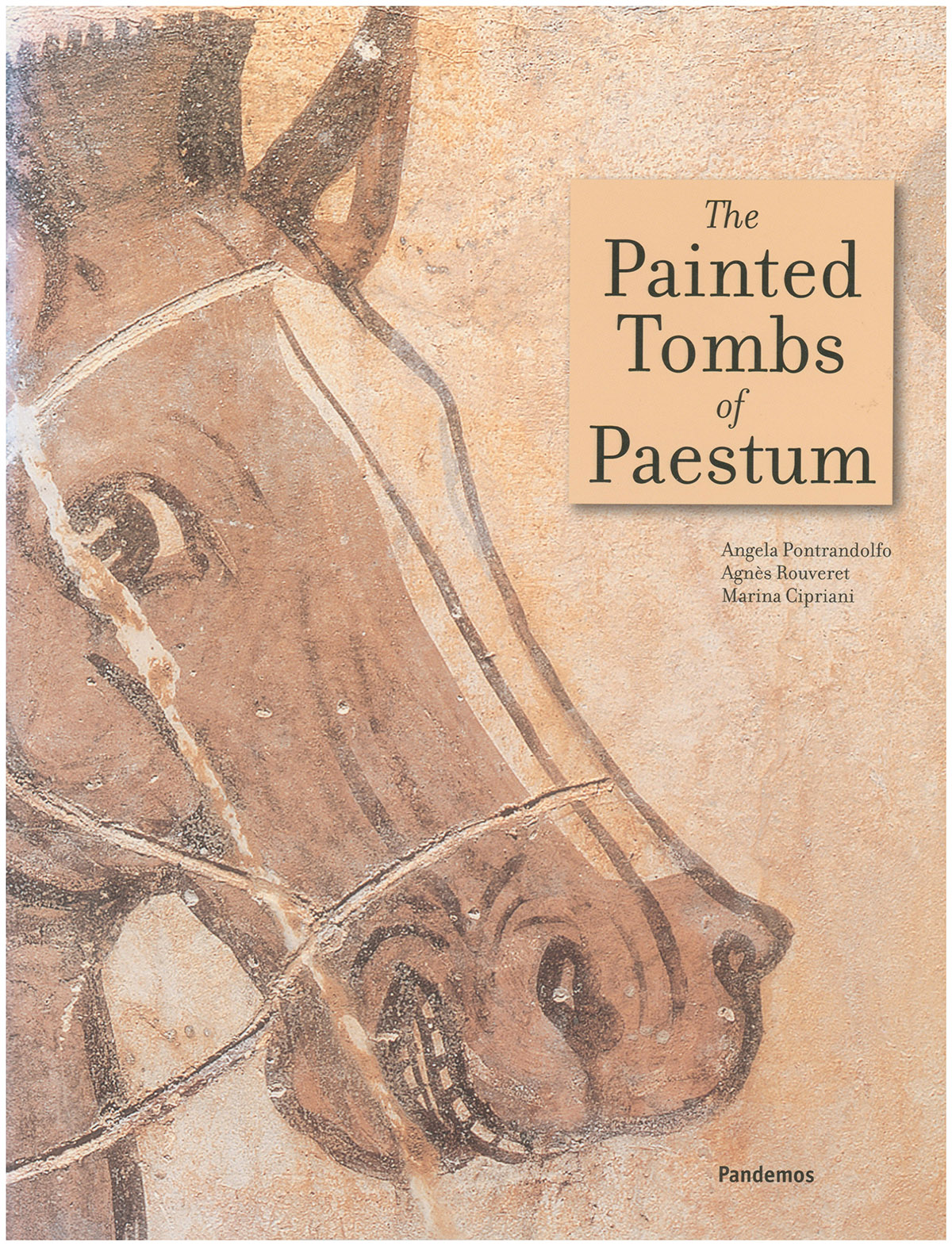 Image for The Painted Tombs of Paestum (Second edition) The Painted Tombs of Paestum (Second edition)