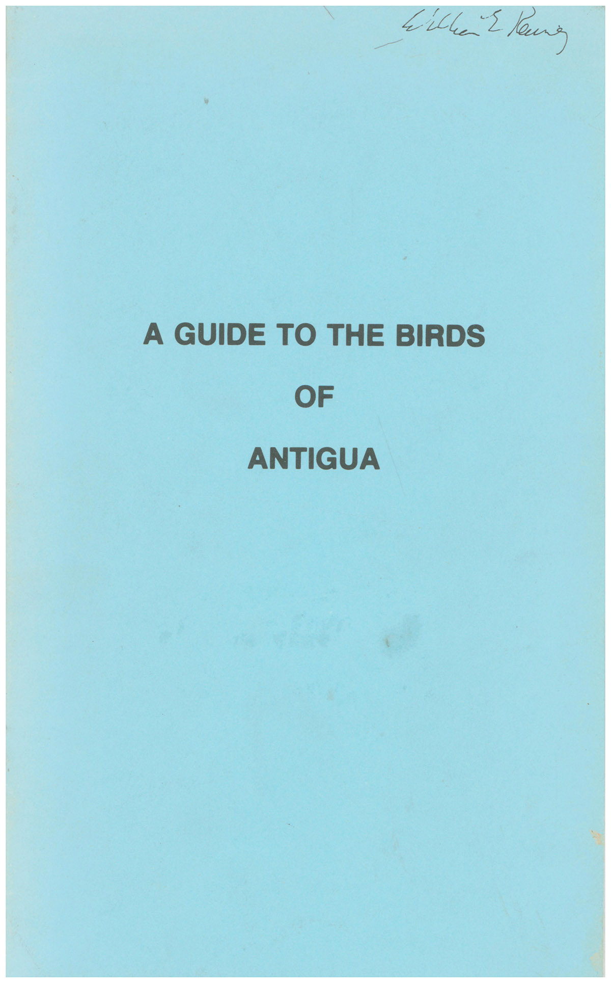 Image for A Guide to the Birds of Antigua A Guide to the Birds of Antigua