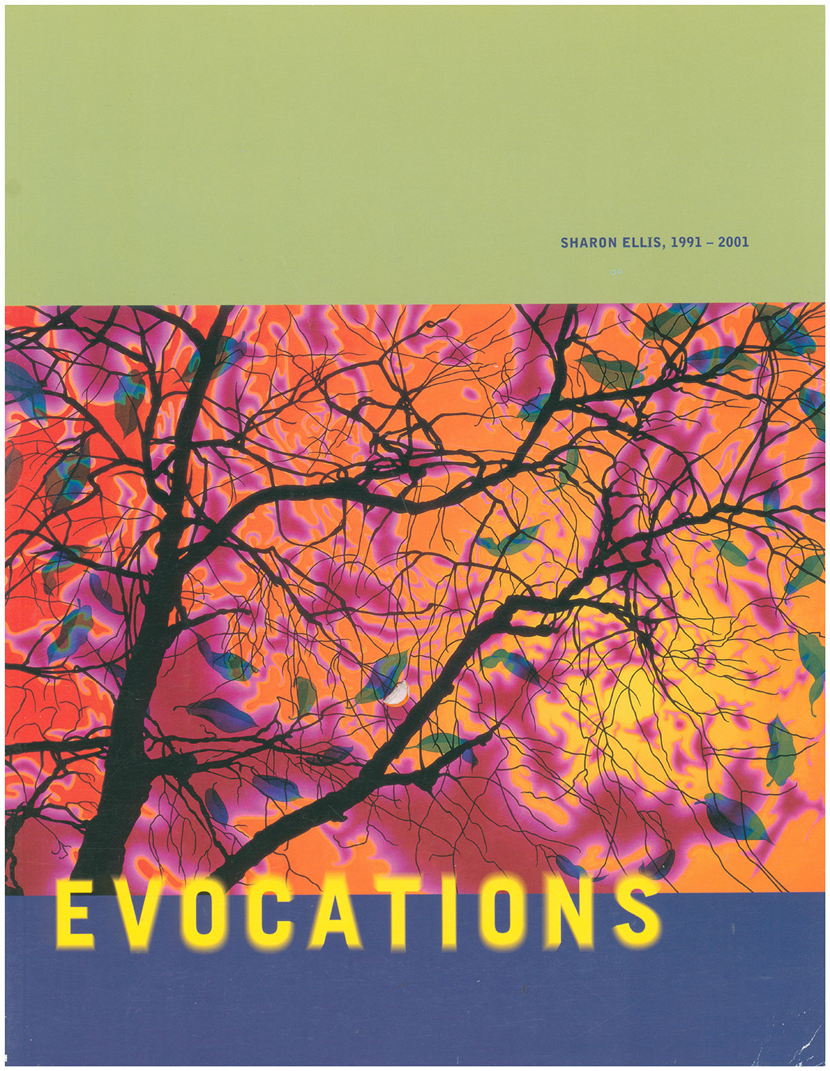 Image for Evocations: Sharon Ellis, 1991-2001 Evocations: Sharon Ellis, 1991-2001