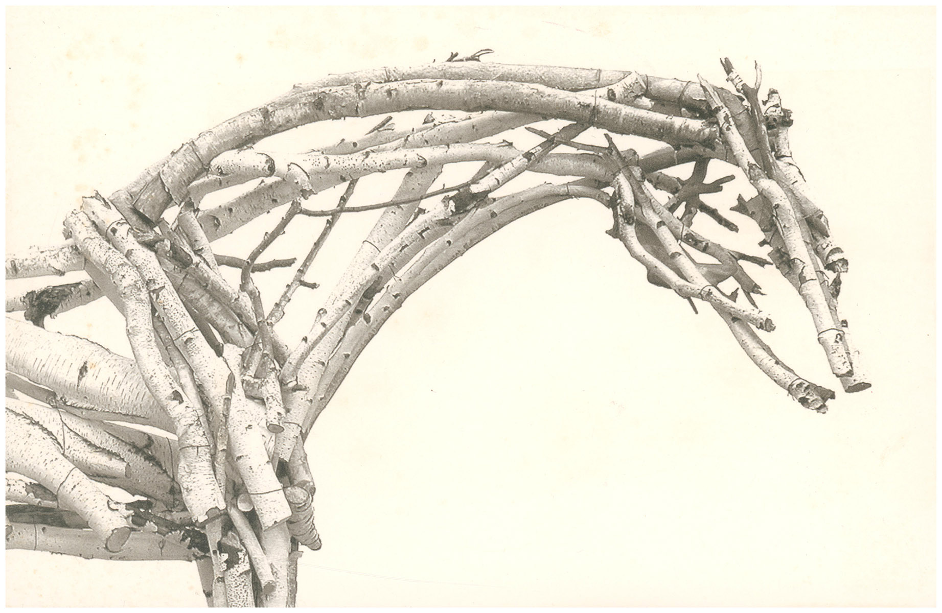 Image for Card: Deborah Butterfield (Gallery Paule Anglim) Card: Deborah Butterfield (Gallery Paule Anglim)