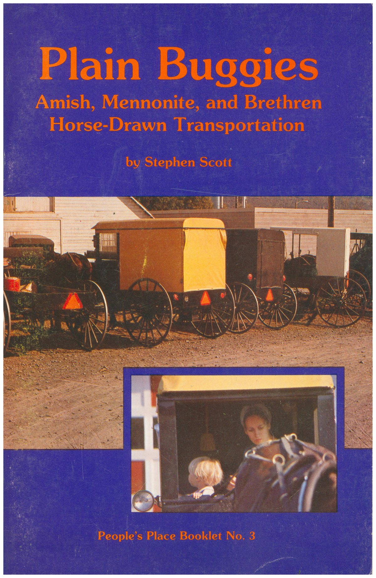 Image for Plain Buggies: Amish, Mennonite, and Brethren Horse-Drawn Transportation Plain Buggies: Amish, Mennonite, and Brethren Horse-Drawn Transportation