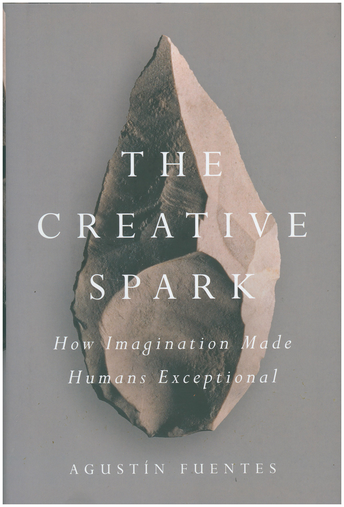 Image for The Creative Spark: How Imagination Made Humans Exceptional The Creative Spark: How Imagination Made Humans Exceptional